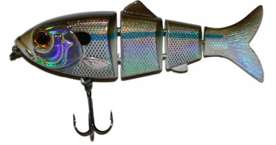 Revolution Shad color Alewife
