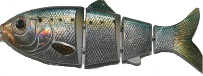 Revolution Shad color American Shad