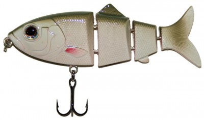 Revolution Shad color Chub