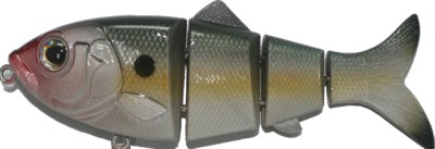 Revolution Shad color Ghost Natural Shad