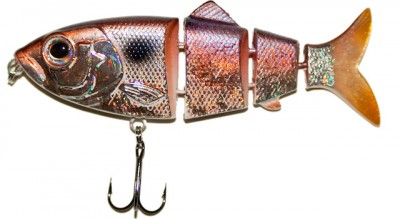 Revolution Shad color Gizzard Shad