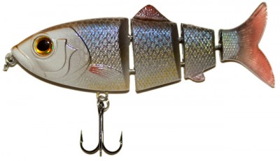 Revolution Shad color Golden Shiner