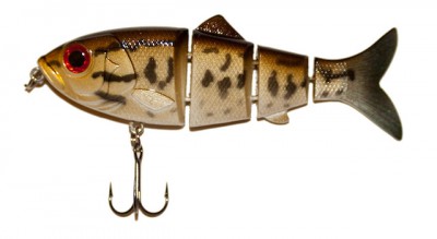 Revolution Shad color Live Baby Bass