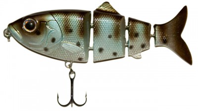 Revolution Shad color Live Crappie