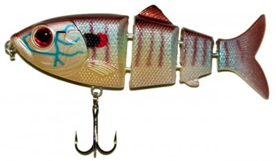 Revolution Shad color Live Sunfish