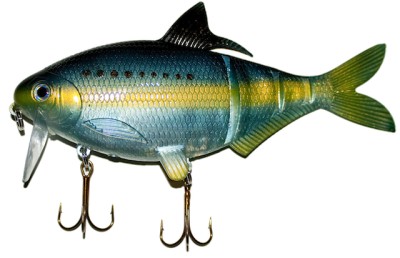 Shad Clone color 