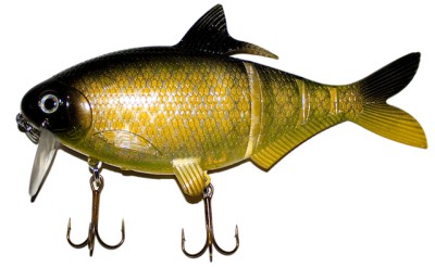 Shad Clone color Carp