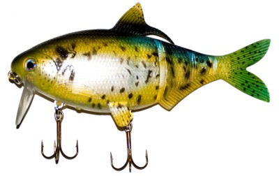 Shad Clone color Crappie