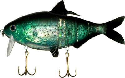 Shad Clone color Green Shiner