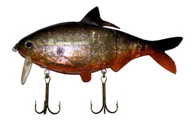 Shad Clone color Nightshiner