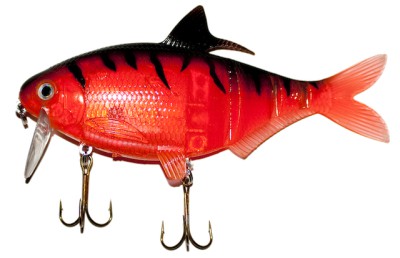 Shad Clone color Orange Firetiger