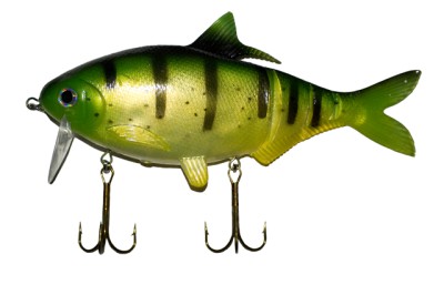 Shad Clone color Perch