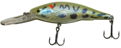 XDP-90 color Warmouth