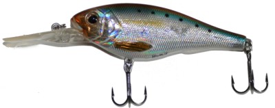 XSD-77 color American Shad