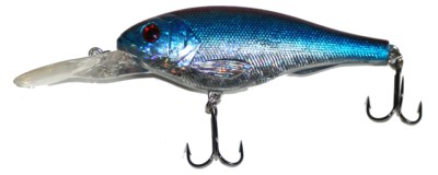 XSD-77 color Blue Back Herring