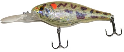 XSD-77 color Warmouth