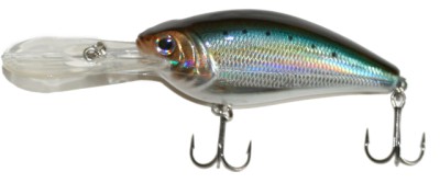 XSD-80 color American Shad