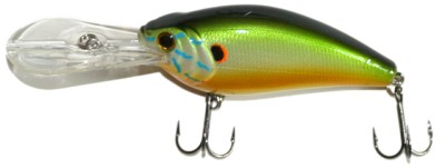 XSD-80 color Pumpkin Seed