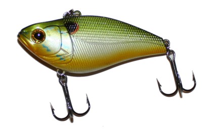 XV-55, XV-65 & XV-75 color Pumpkin Seed