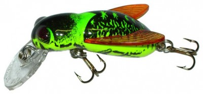 Bumble Bug color Fire Bug