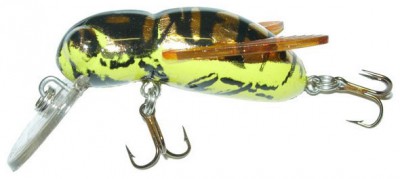 Bumble Bug color Hornet