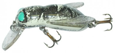 Bumble Bug color Horse Fly