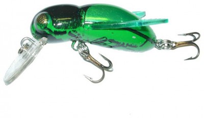 Bumble Bug color June Bug