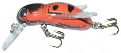 Bumble Bug color Lady Bug