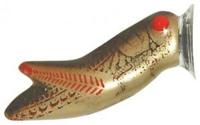 CrickHopper Popper color Gold Pearl/Black Back