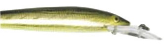 Fastrac Minnow color 02