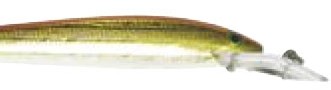 Fastrac Minnow color 39