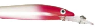 Fastrac Minnow color 419
