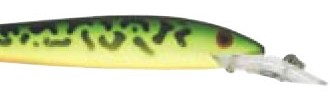 Fastrac Minnow color 56