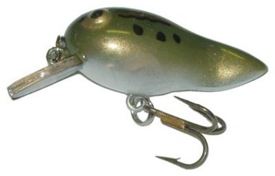 Tadfry color Frog Tad