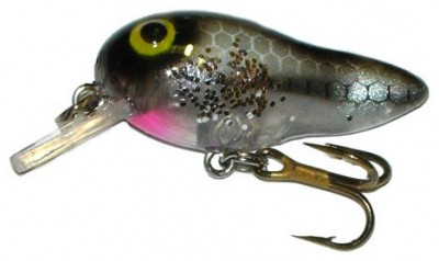 Tadfry color Shad Tad