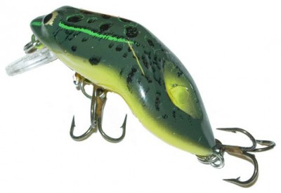 Wee Frog color Green Bull Frog
