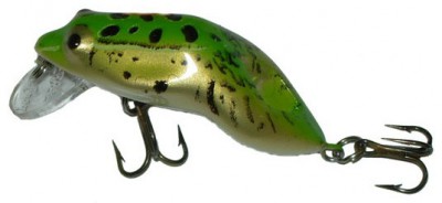 Wee Frog color Northern Leopard Frog