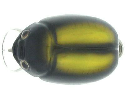 Beetit Crank color 02