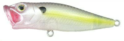 Bubble Popper color G12