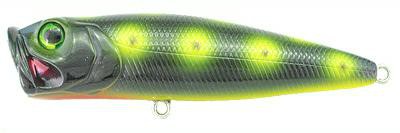 Bubble Popper color S03