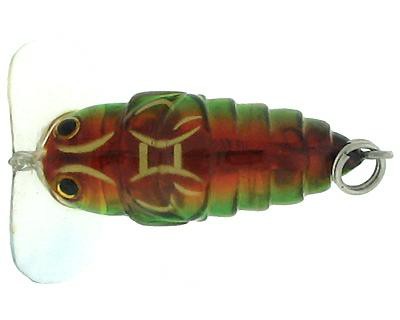 Buggi Popper color 04