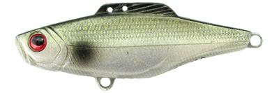 Diver Vibe color G14