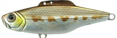 Diver Vibe color HC04