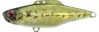 Diver Vibe color HC11