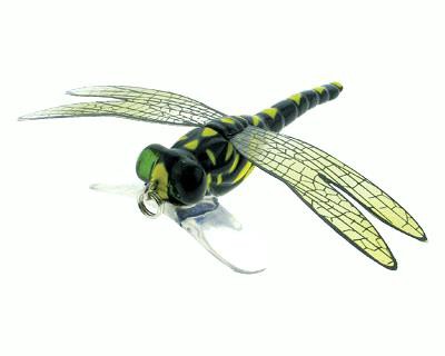 Dragonfly Popper color 02