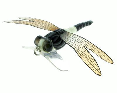 Dragonfly Popper color 03