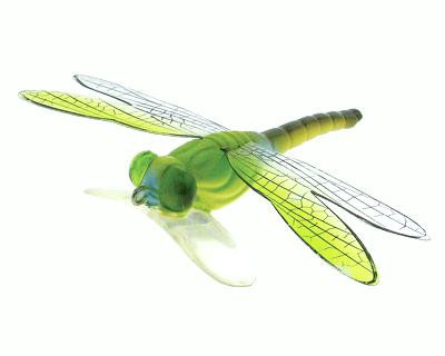 Dragonfly Popper color 04