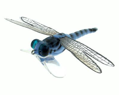 Dragonfly Popper color 06