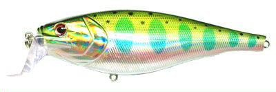 Fatti Shad color HA02