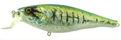 Fatti Shad color Hc07